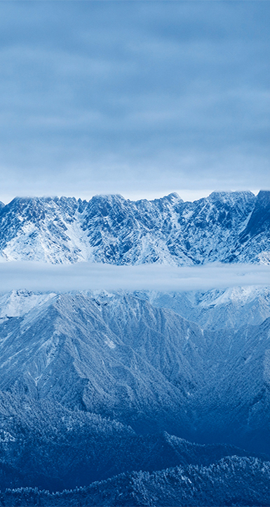 关于万宝路公司